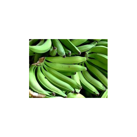 Green Plantain Half Box (please read description carefully)