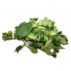 Fresh Ugu/ Okongobong/ Okomobong Bunch