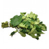 Fresh Ugu/ Okongobong/ Okomobong Bunch