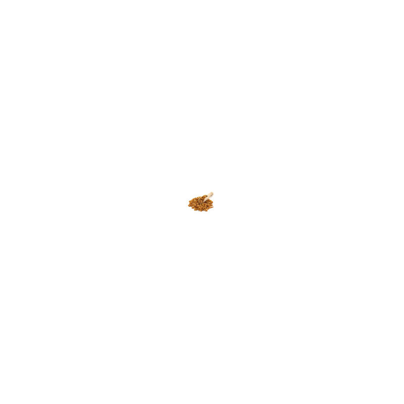 SU Fried Onion 100g