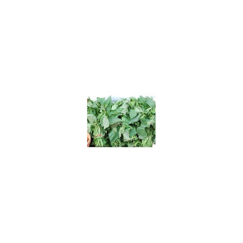 Fresh Bitterleaf/ Ndole/ Olugu Bunch
