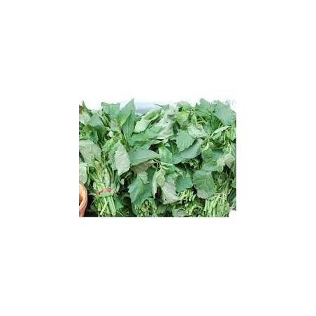 Fresh Bitterleaf/ Ndole/ Olugu Bunch
