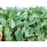 Fresh Bitterleaf/ Ndole/ Olugu Bunch