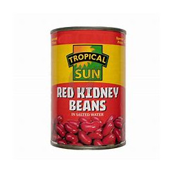 TS Red Kidney Beans 400g