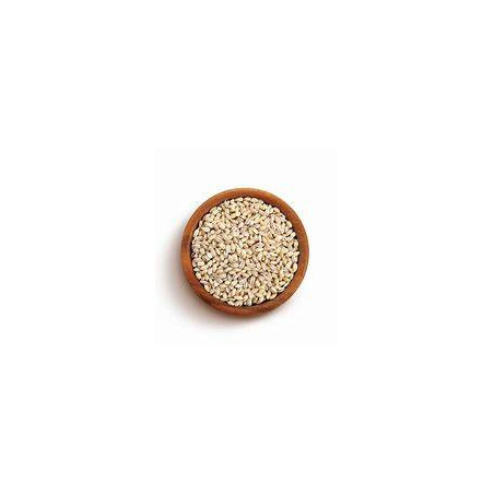 TS Pearl Barley 500g