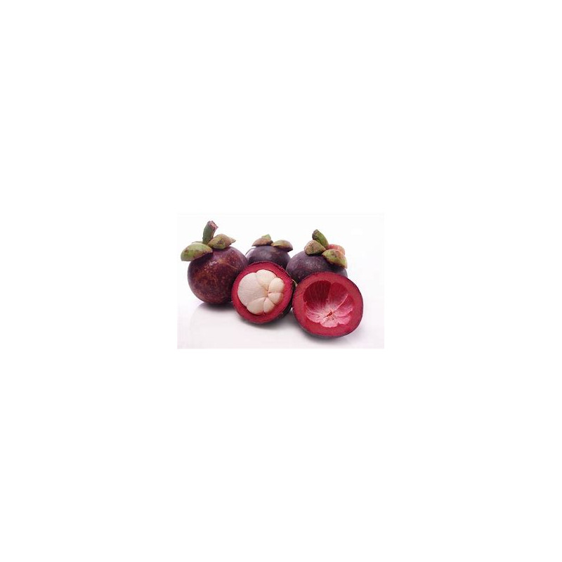 TS Mangosteen Drink 330ml
