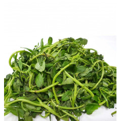 Fresh Waterleaf/ Water...