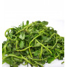 Fresh Waterleaf/ Water leaves Bunch 200g