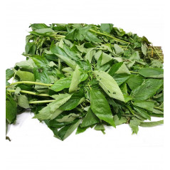 Fresh Ewedu/ Molokhia/ Krin Krin/ Jute Leaves Bunch