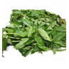 Fresh Ewedu/ Molokhia/ Krin Krin/ Jute Leaves Bunch