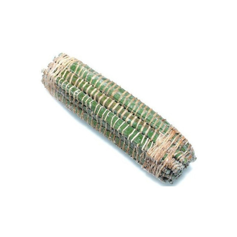 Miondo