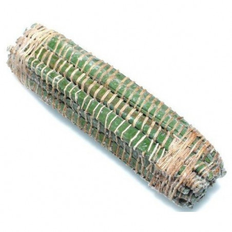 Miondo