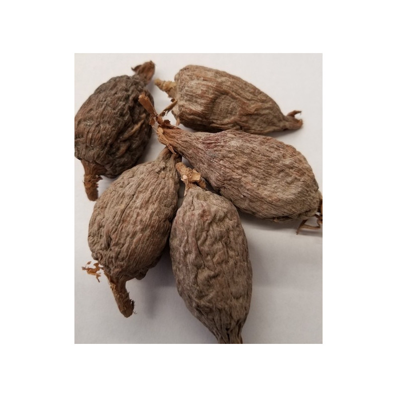 Alligator Pepper/ Mbongo/ Hepper Spice  (1 Pod)