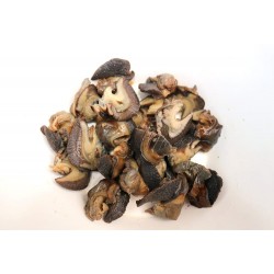 Giant Snails Pack