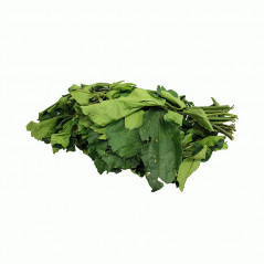 Fresh Soko Leaves Bunch